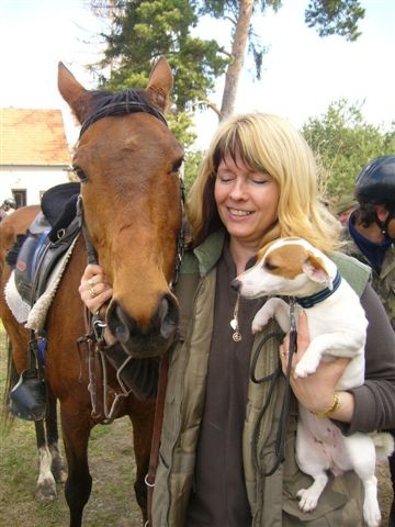 Jack Russel Teriér Jack Russel Teriér