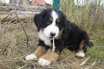 Prod�m �t���tko