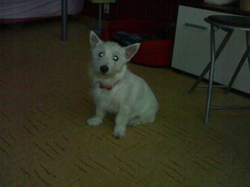 5-m�s��n� �t�n� 2200k�