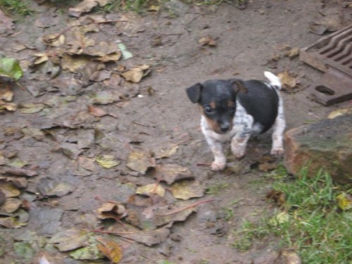 Prod�m levn� �ten�tko