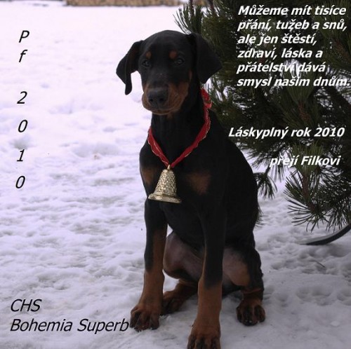 Dobrman-prod�m �t�n�