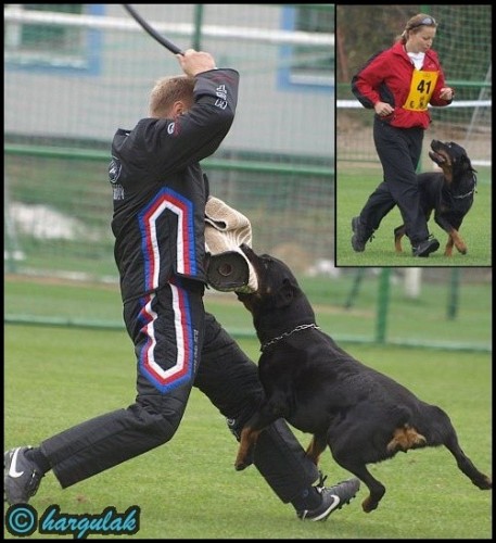 Rotvajler �t��ata