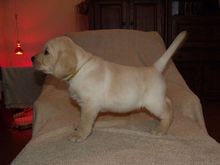 Prod�me kr�sn� �t���tka s PP