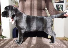 Prod�me kr�sn� �t���tka s PP