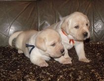 Prod�me �t���tka s PP