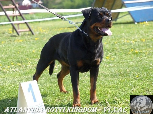 Bohemia Col-Bri-�t�nata