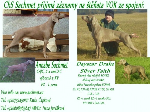 zad�m �t��ata VOK s PP