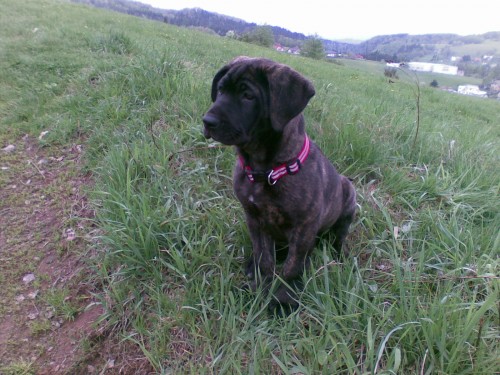 To by jste nev��ili...                  