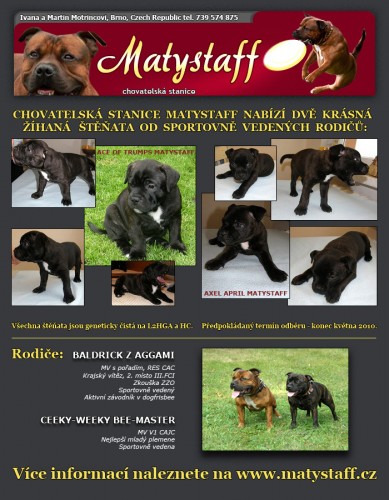 �t��ata stafbul�k�  s PP 