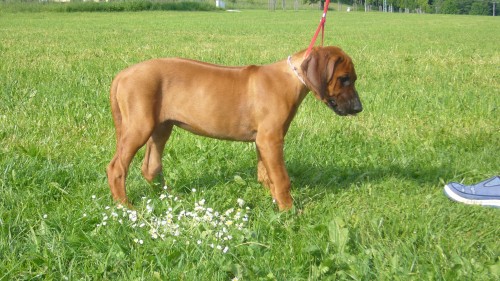 Prod�m �t��ata