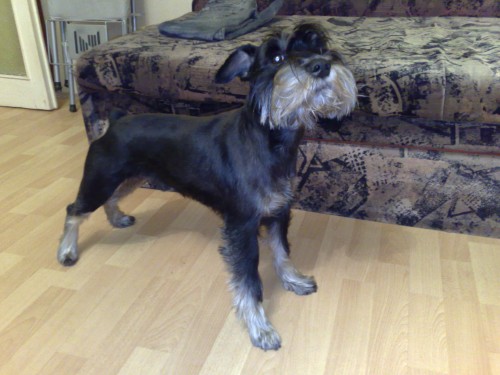 Nabídka krytí Nabídka krytí