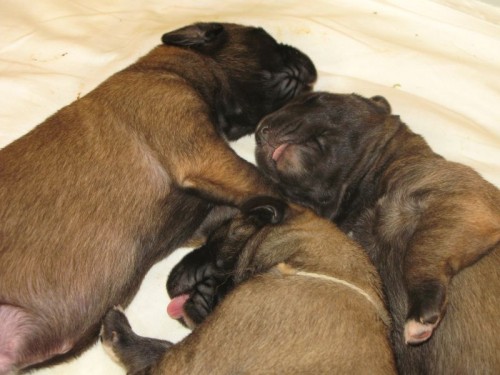 �t��ata IW s PP