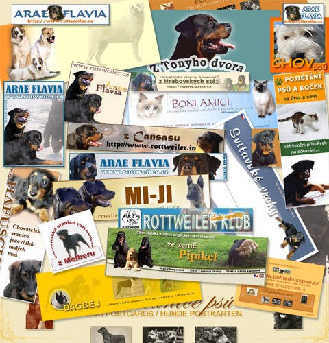 Internetov� str�nky pro v�s!