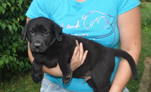 �t��ata po ��asn�ch rodi��ch