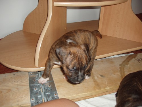 �t��ata k odb�ru