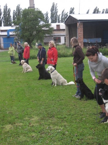 V�cvikov� v�kend zam��en� na komunikaci psovoda se psem, socializaci a z�bavu ps� a jejich p�n�