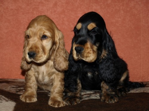 Luxusn� �t���tka