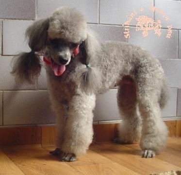 Kurzy - St��h�n� a kosmetick� �prava ps�