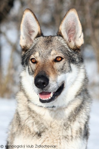 prod�m �t��ata