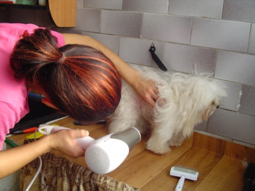 Kurzy - St��h�n� a  �prava ps�