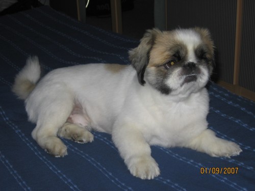 NAB�DKA KE KRYT�