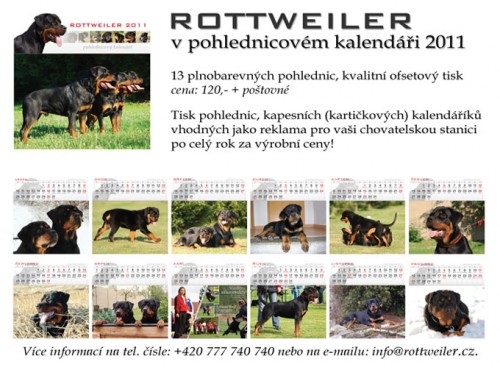Rottweiler - kalend�� 2011