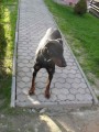 Kdo hledá tohoto přítele Kdo hledá tohoto přítele