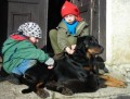 BEAUCERON - FRANCOUZSK� OV��K