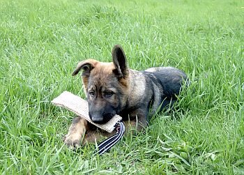 Jaso &amp;quot;Jack&amp;quot; Naspo se svou obl�benou hra�kou