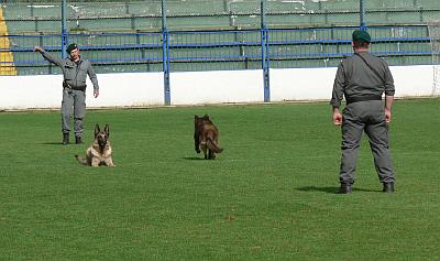 synchronizovan� poslu�nost