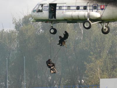 Nejprve rychl� slan�n�...