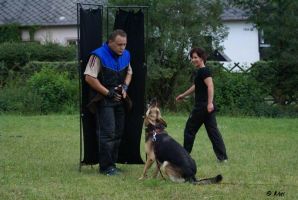 Dal�� foto z obran...