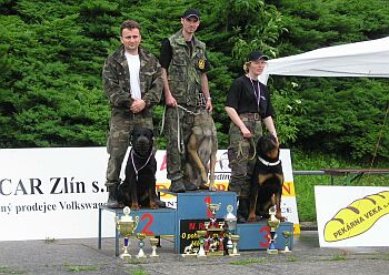 Trojice nejlepších...