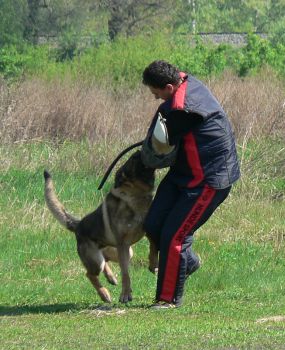 Momentka z kontrol�ku