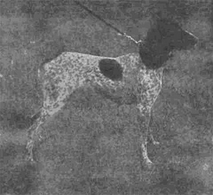 Kr�tkosrst� oha�