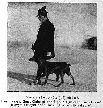 Voln� sledov�n� p�i ch�zi.