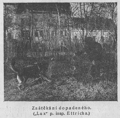 Zaštěkání dopadeného