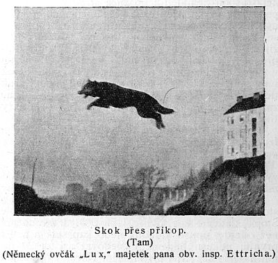 Skok přes příkop - tam