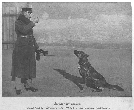 Štěkání na rozkaz