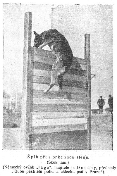 Šplh přes prkennou stěnu - skok tam