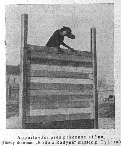 Apportování přes prkennou stěnu