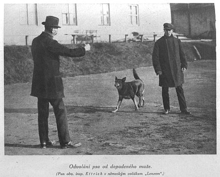 Odvolání psa od dopadeného muže