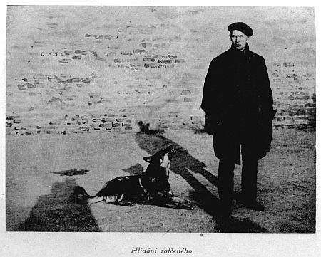 Hlídání zatčeného