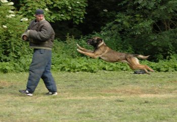 O poh�r �editele MP Zl�n