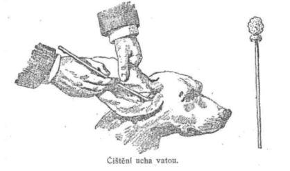 Čistění ucha vatou