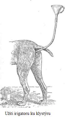 U�iti irigatoru ku klyst�ru