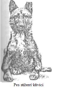 Pes sti�en� k�ivic�