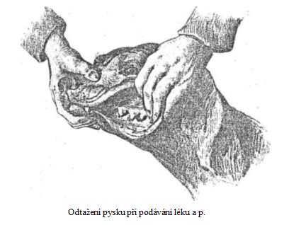 Odtažení pysku při podávání léku a p.