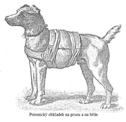 Priesnický obkladek na prsou a na břiše.