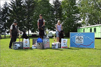 Stupn� v�t�z� IPO 3